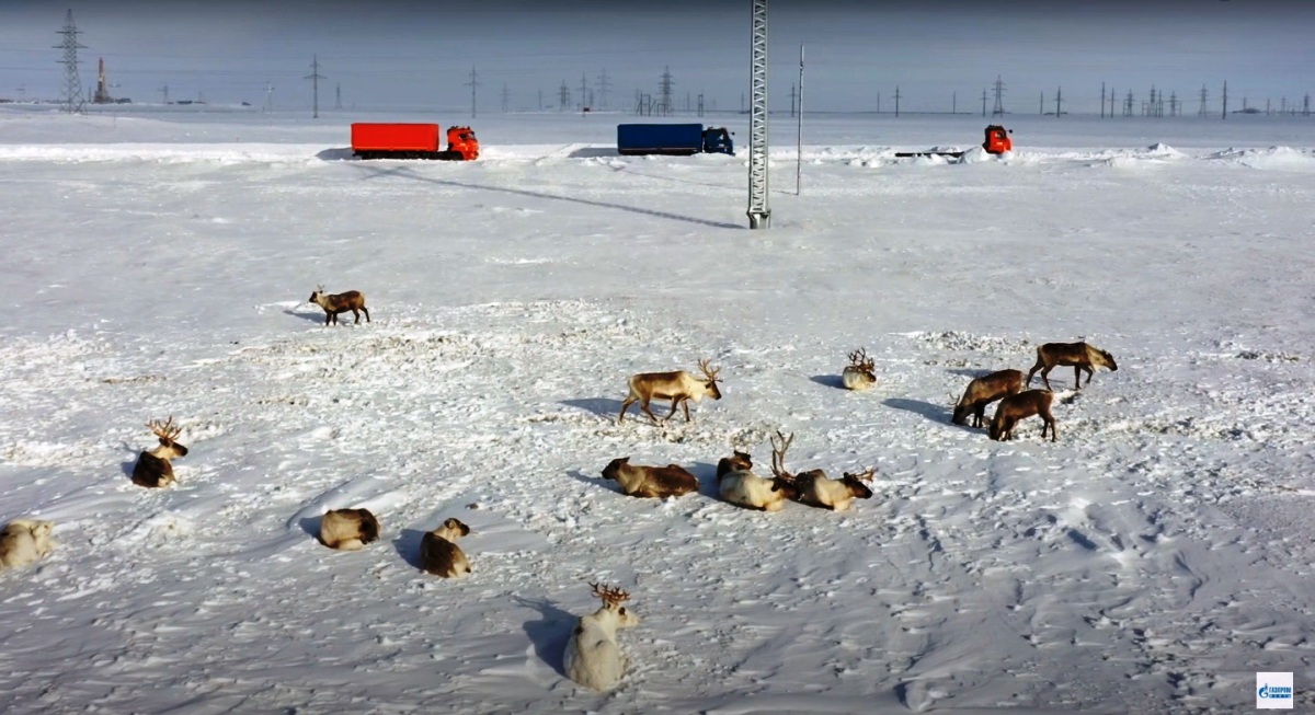 Проект Ермак: «КАМАЗпилотники» испытали в Арктике — Авторевю
